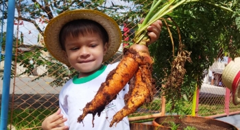Projeto Horta em Casa incentiva alimentação saudável durante as férias escolares